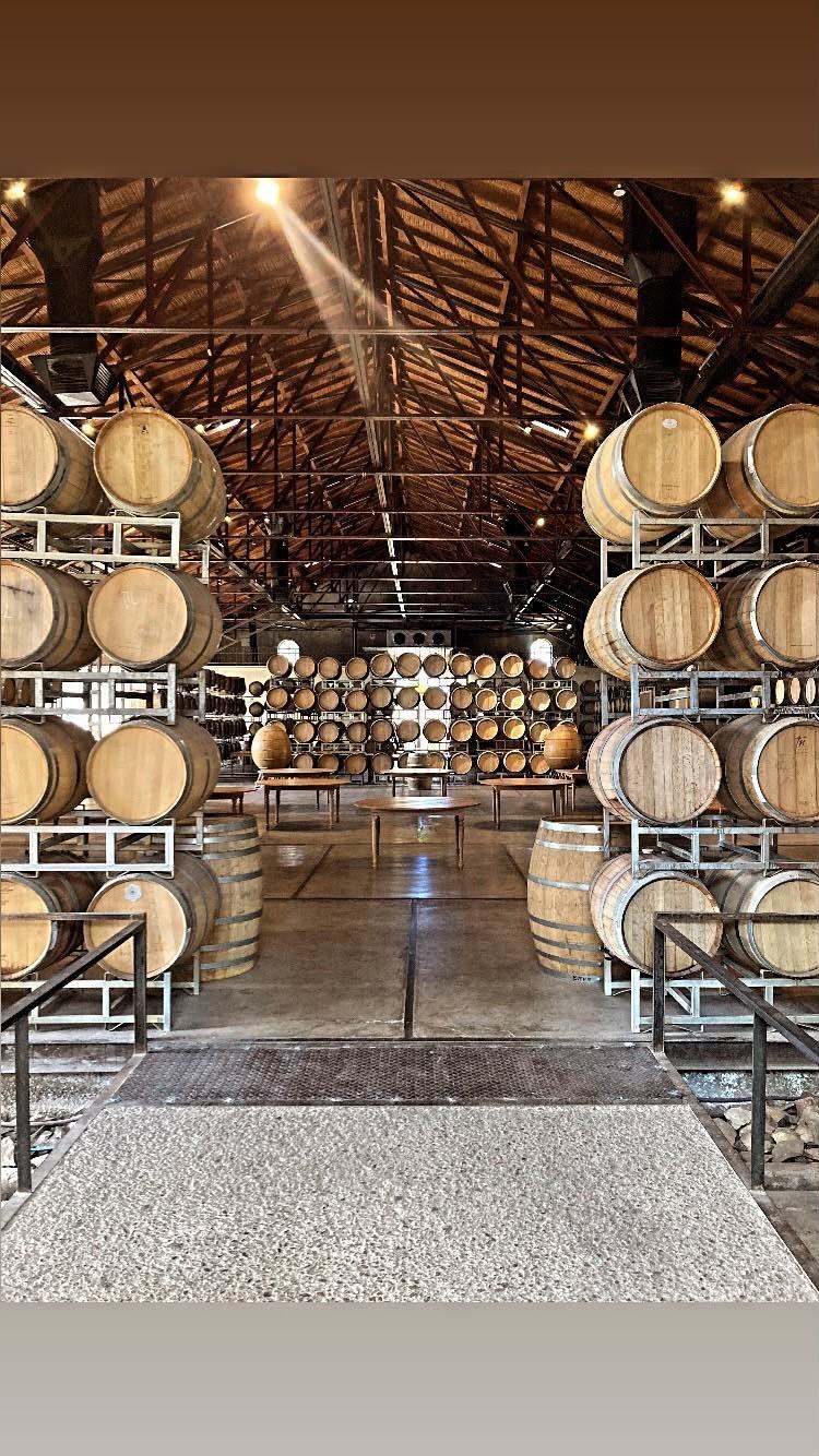 Oak barrel hall inside a Mendoza winery