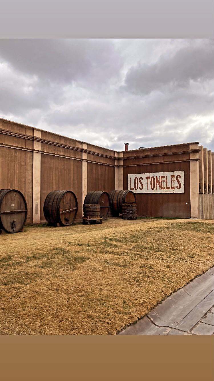 Antique wine casks against a warehouse wall