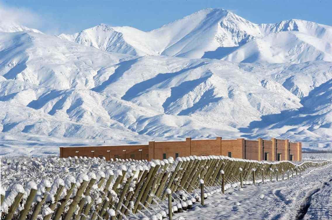 Vineyard rows dusted in snow beneath the Andes mountains