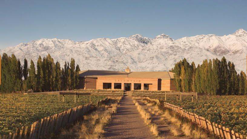 Winery in Valle de Uco at golden hour, framed by the snow-capped Andes